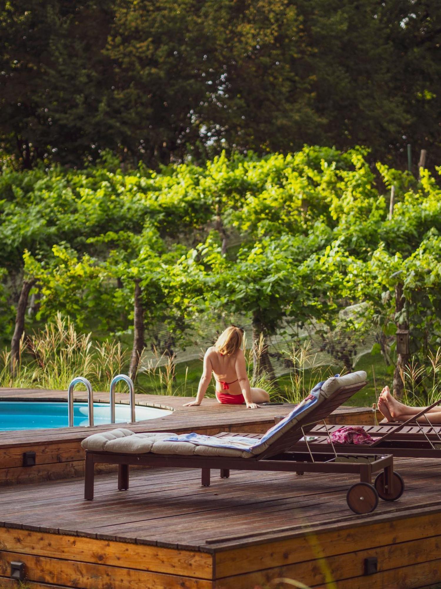 Sen I Wino, Domki Na Winnicy Ze Strefa Spa Zywiec Exterior photo